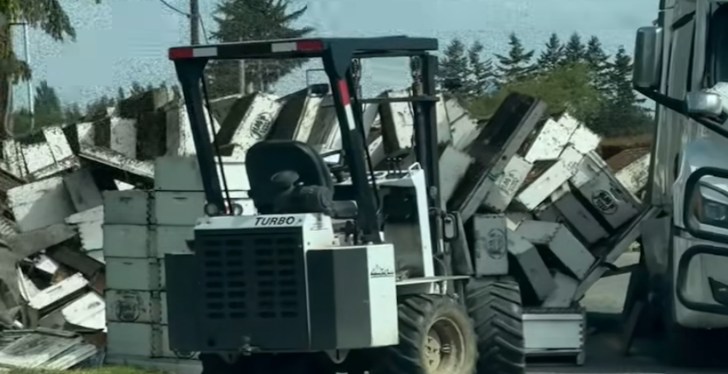 Truck Topples In Washington State, Releasing A Swarm Of 14 Million Bees