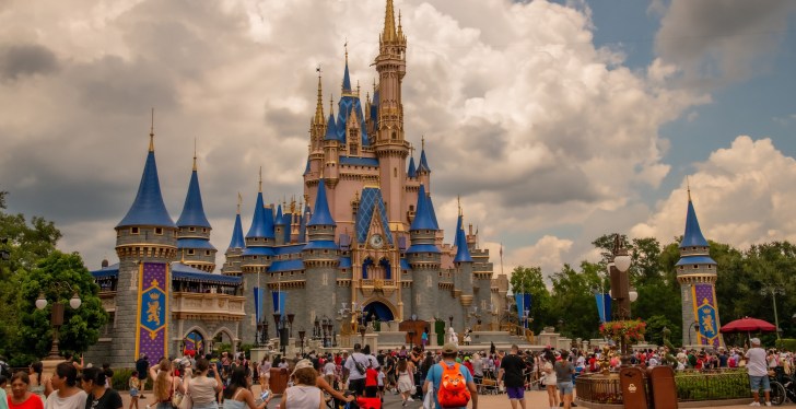 Woman Blasted For Her Outfit At Disney World