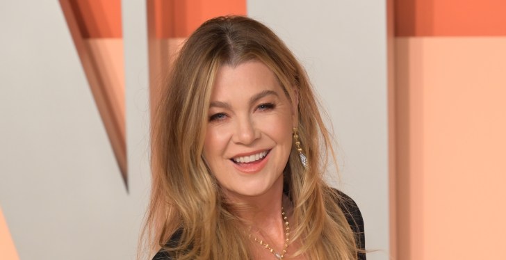 Ellen Pompeo Runs Afoul Of The TSA Thanks To Fancy Sunflower Seeds