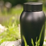 Sibling Secretly Keeps Late Brother's Ashes Against Family's Wishes