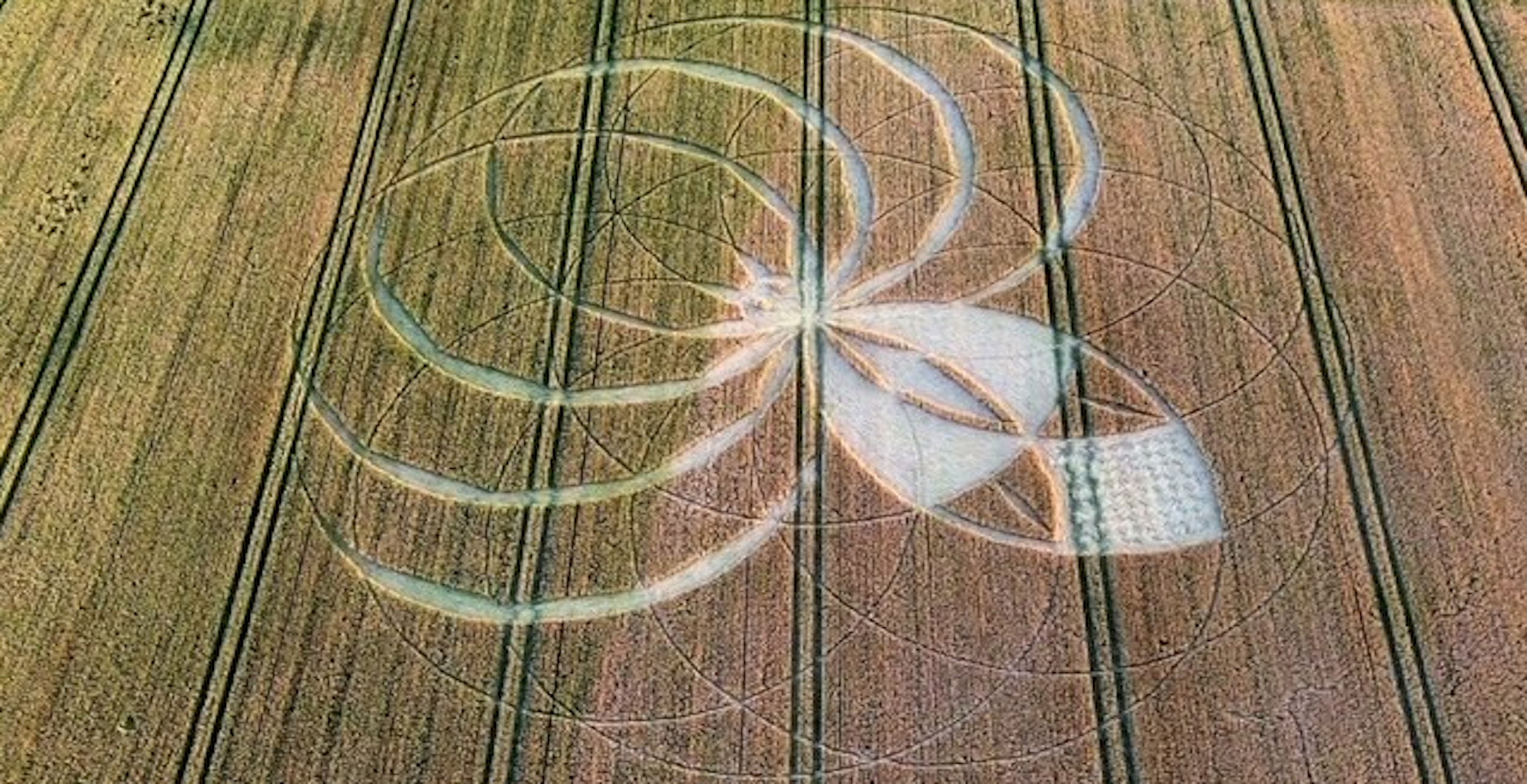 Mysterious UK Crop Circles Branded 'Criminal Damage' By Farmers