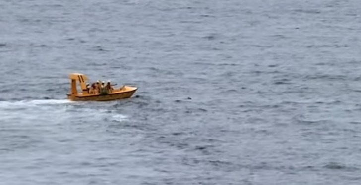 Dad Dives Into Sea To Save Daughter After She Falls From Disney Cruise Ship