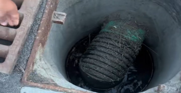 Family Saves Ducklings From Storm Drain In Heartwarming Viral Video
