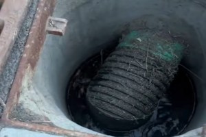 Family Saves Ducklings From Storm Drain In Heartwarming Viral Video