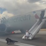 Illinois Senator Blasts Airline Safety After American Airlines Evacuation