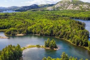 Man Rescued From Canadian Wilderness After Going Missing For 9 Days