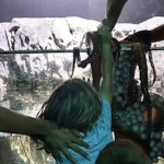 6-Year-Old Bruised After Giant Octopus Grabbed Him In Texas Aquarium