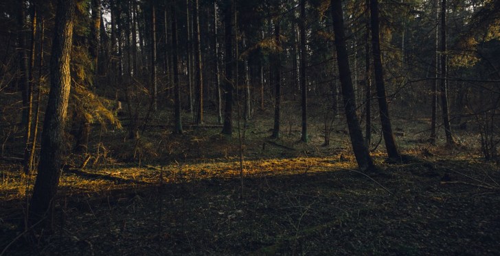 2 Mississippi Kids Lost In Woods Saved By Heat-Seeking Drone