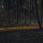2 Mississippi Kids Lost In Woods Saved By Heat-Seeking Drone